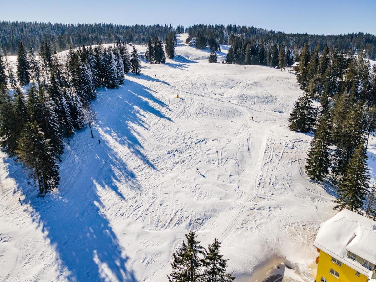 Feldberg Domizil - Residenz Grafenmatt Lägenhet Rinken Exteriör bild