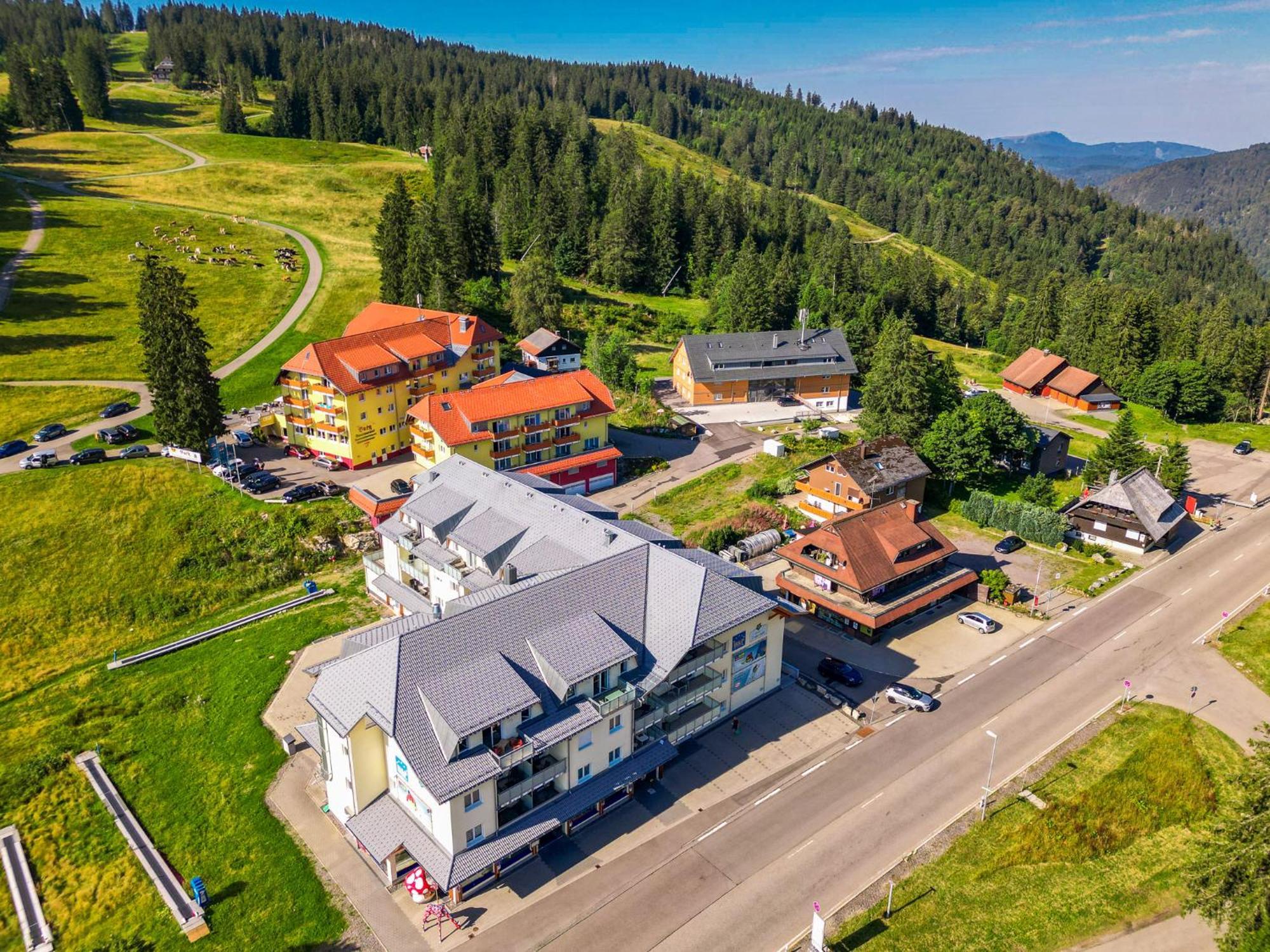 Feldberg Domizil - Residenz Grafenmatt Lägenhet Rinken Exteriör bild